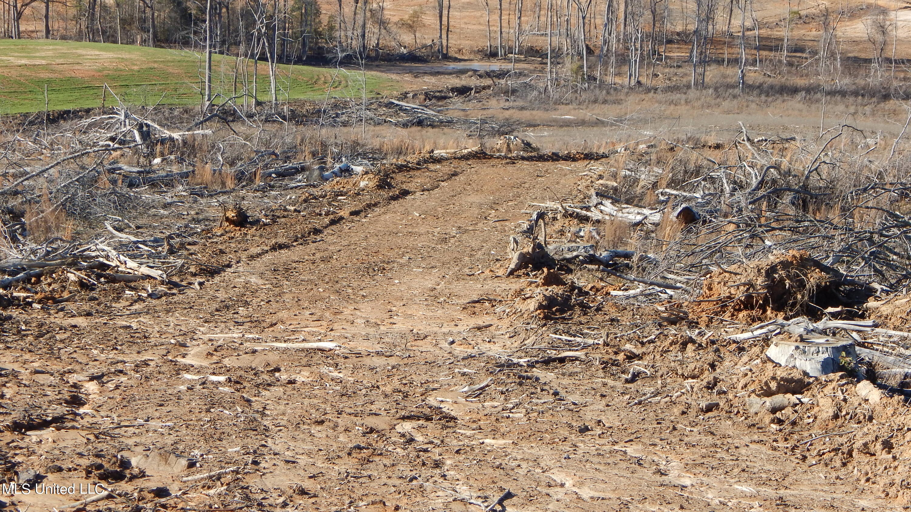 706 Graysport Crossing Road Gore Springs, MS 38929 - Photo 21 of 26 DSCN4713