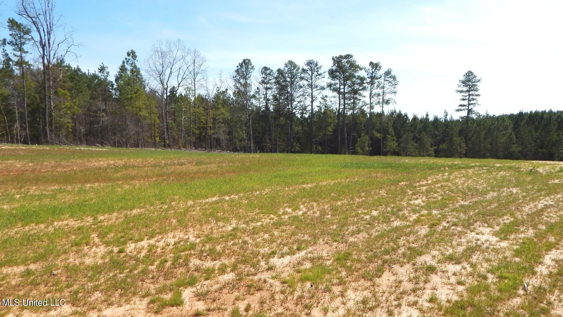 706 Graysport Crossing Road Gore Springs, MS 38929 - Photo 3 of 26 DSCN5017