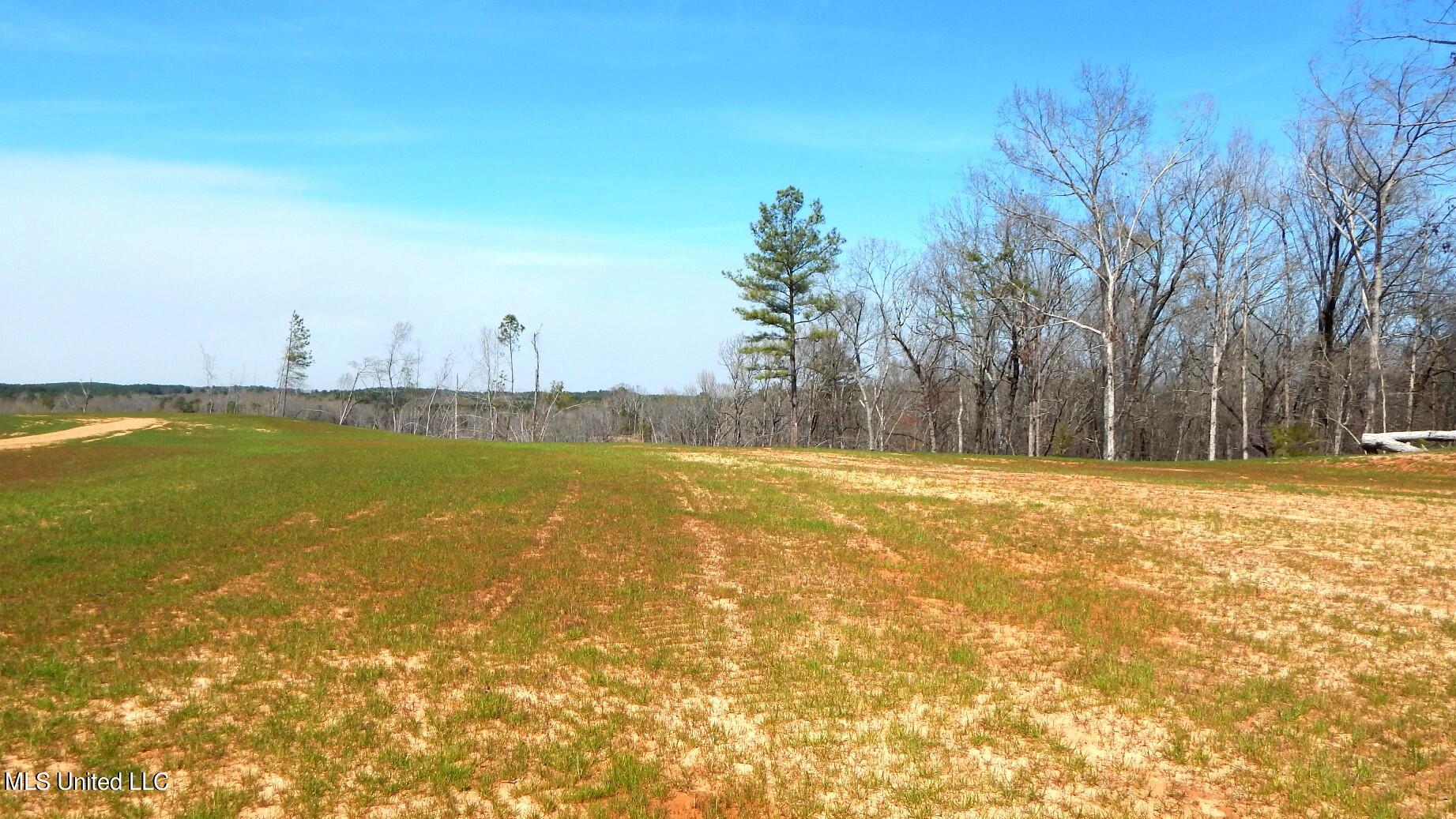 706 Graysport Crossing Road Gore Springs, MS 38929 - Photo 5 of 26 DSCN5019