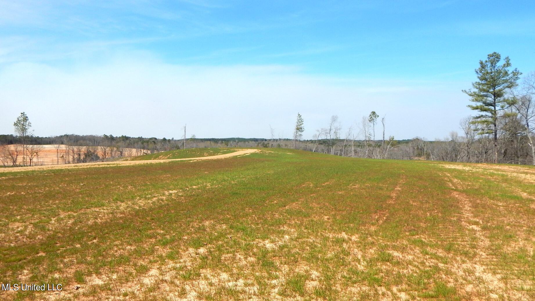 706 Graysport Crossing Road Gore Springs, MS 38929 - Photo 6 of 26 DSCN5018