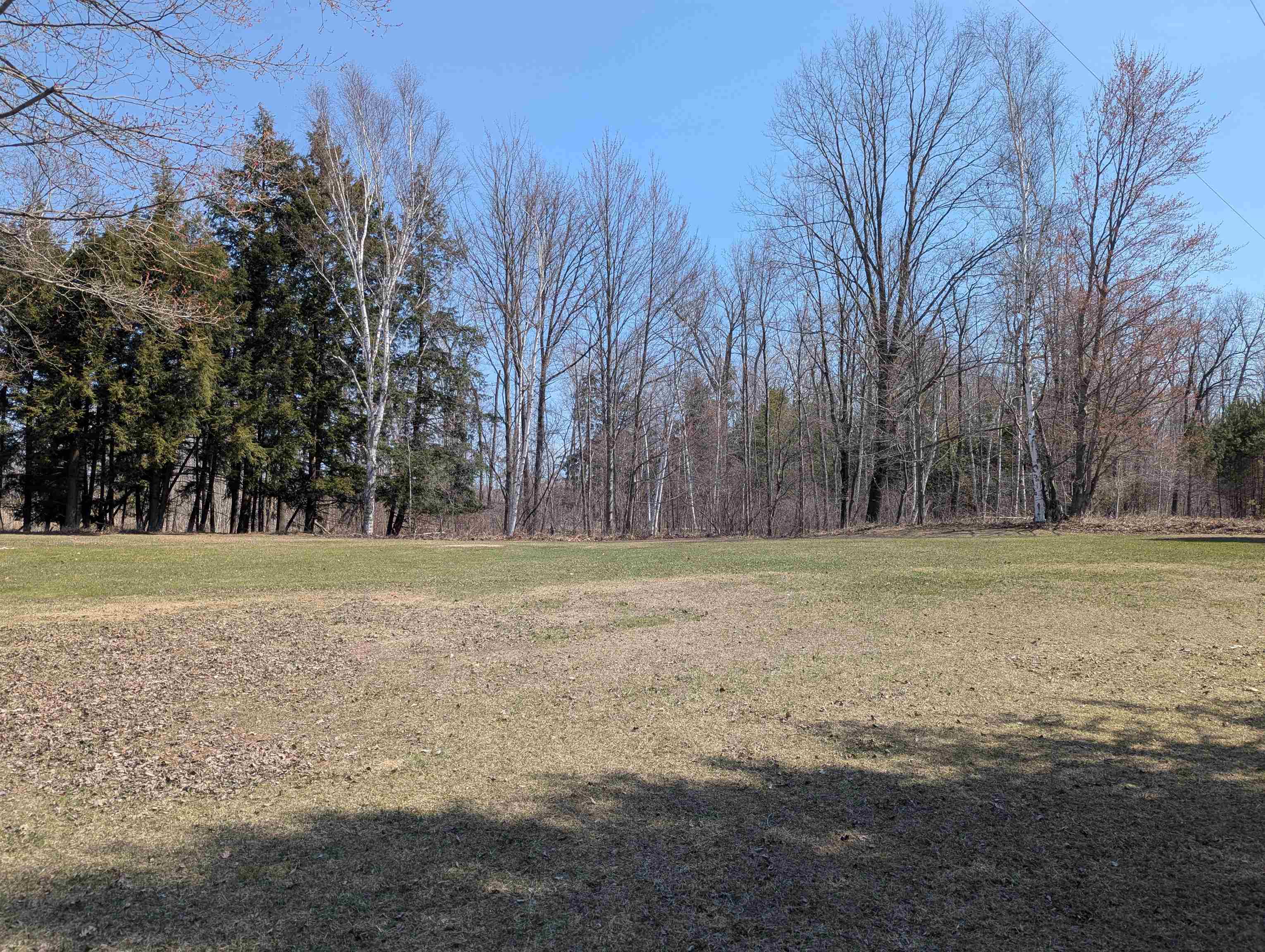 875 East Townsend Road Twining, MI 48766 - Photo 6 of 38
