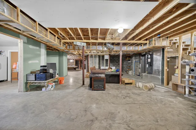 a view of a garden with plants and flowers