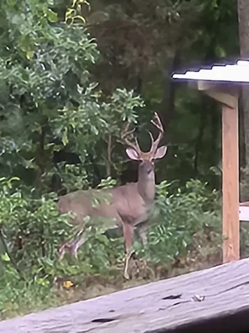 $839,000 | 35 Quail Run Lane, Flintville, TN 37335