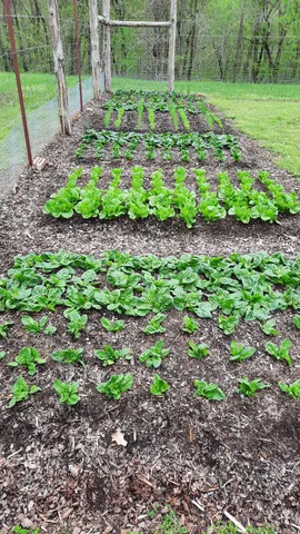 $839,000 | 35 Quail Run Lane, Flintville, TN 37335