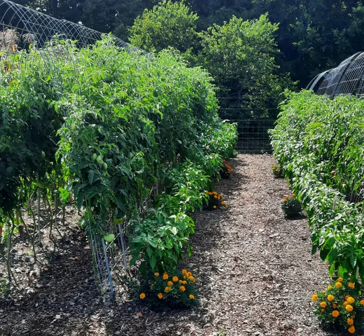 $839,000 | 35 Quail Run Lane, Flintville, TN 37335