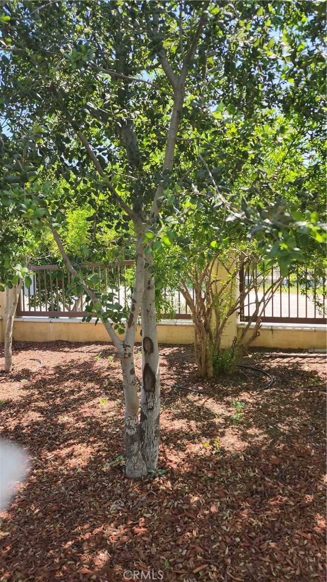 3112 1st Street Riverside, CA 92507 - Photo 22 of 61 a view of outdoor space and yard