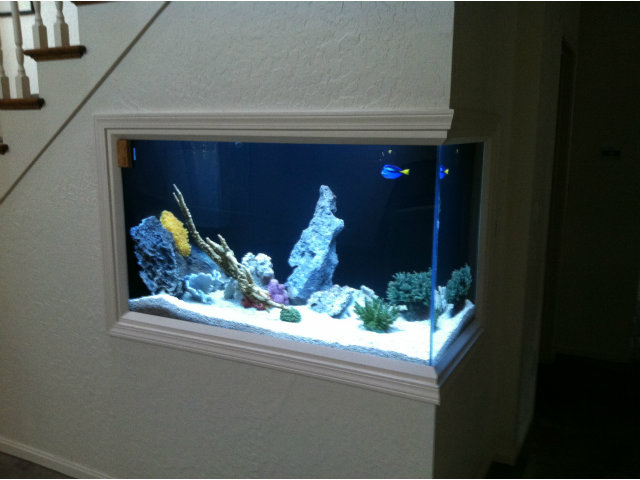 251 La Prenda Millbrae, CA 94030 - Photo 10 of 10 a vase of flowers sitting on a shelf