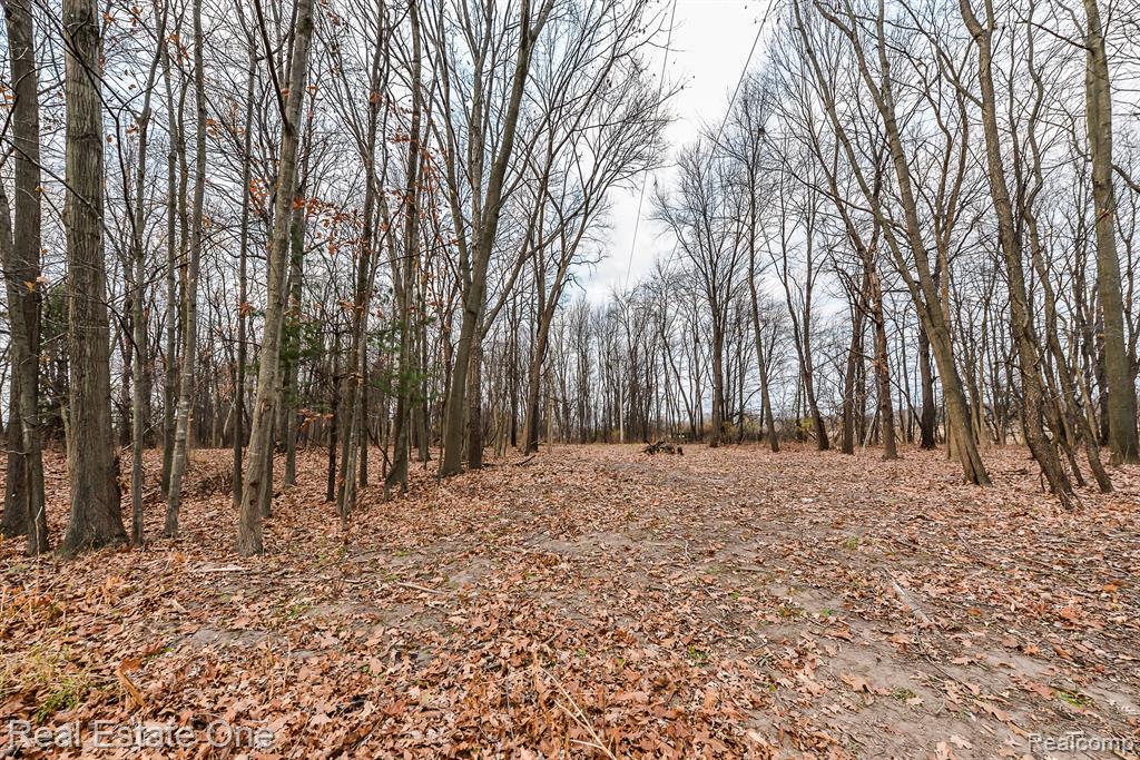 807 South Bull Run Road Fowlerville, MI 48836 - Photo 39 of 60 Gallery Image 39