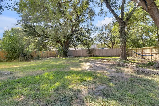 a view of a yard with a tree