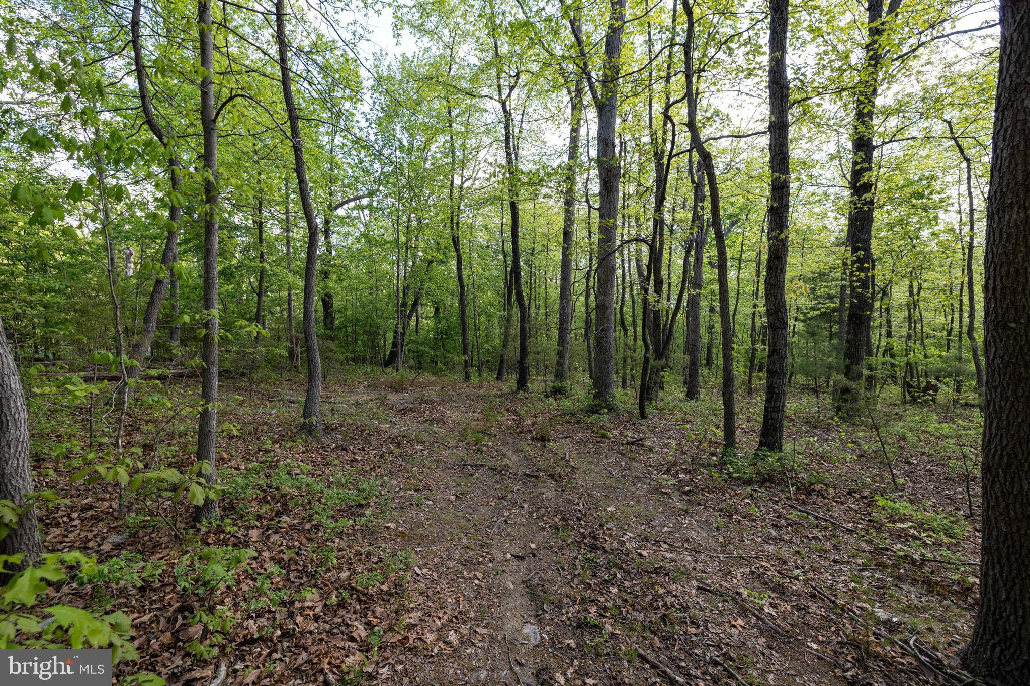 H49 Cross Creek Road Luray, VA 22835 - Photo 37 of 46 a view of outdoor space and green space