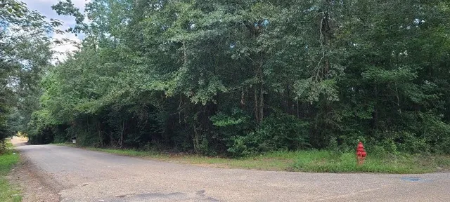 $35,000 | Undisclosed Address, Bogalusa, LA 70427