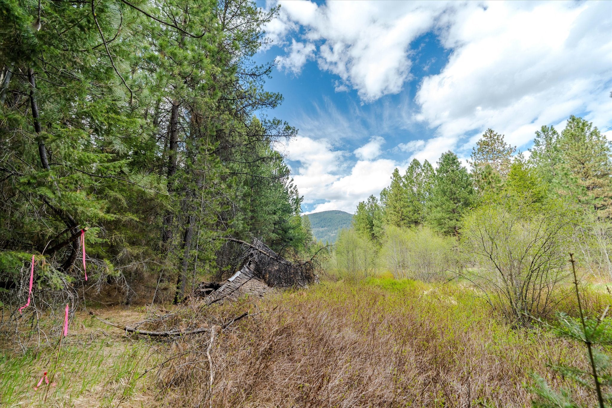 60 Hines Road Troy, MT 59935 - Photo 21 of 34 Gallery Image 21