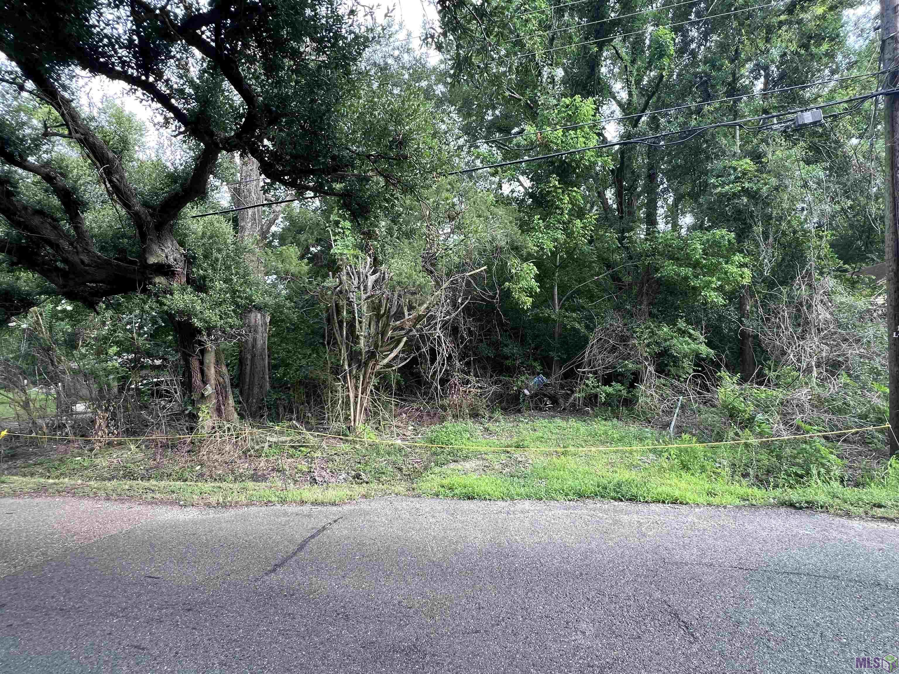 1910 Rosenwald Road Baton Rouge, LA 70807 - Photo 2 of 3