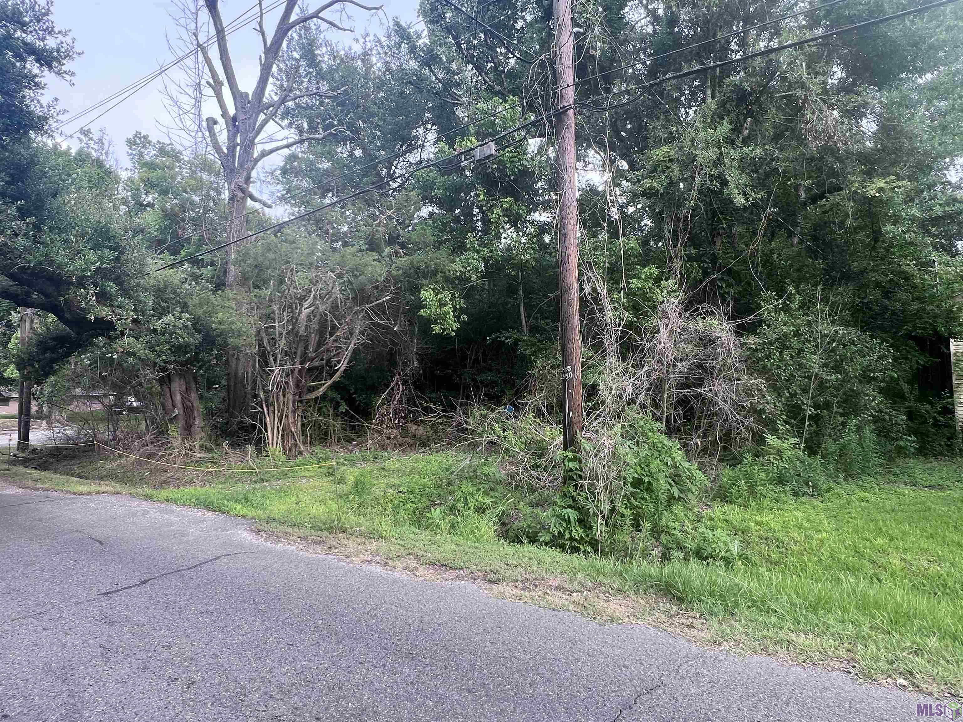 1910 Rosenwald Road Baton Rouge, LA 70807 - Photo 3 of 3