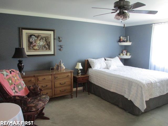 22255 Pratt Road Armada, MI 48005 - Photo 33 of 43 50141796-992700cd-65f9-4e58-83c1-fdf7958a4bf9.JPG