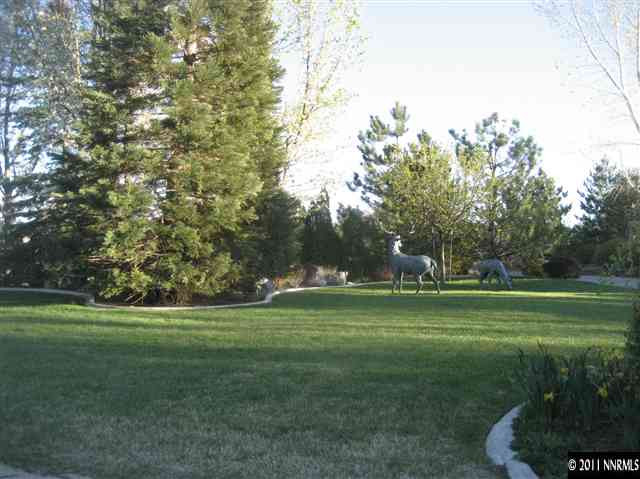 1395 View Reno Nv 89511 Reno, NV 89511 - Photo 3 of 13 a grassy field with trees in the background