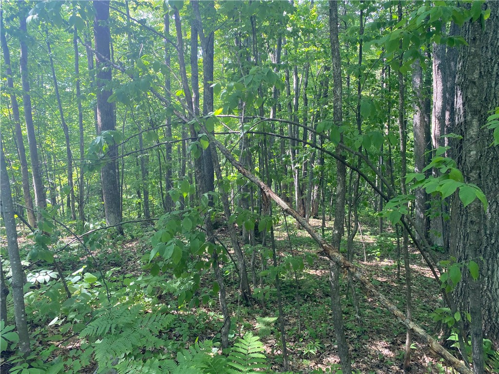 Lot 7 Secluded Trail Hayward, WI 54843 - Photo 37 of 41
