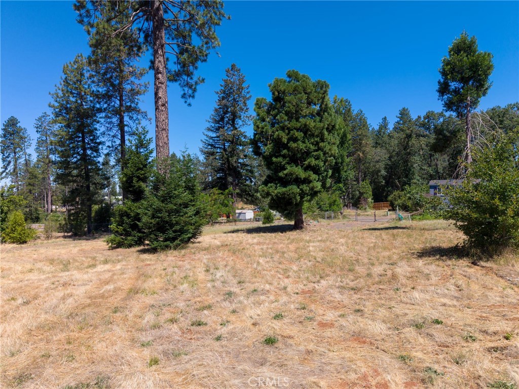 1368 Brill Road Paradise, CA 95969 - Photo 8 of 14