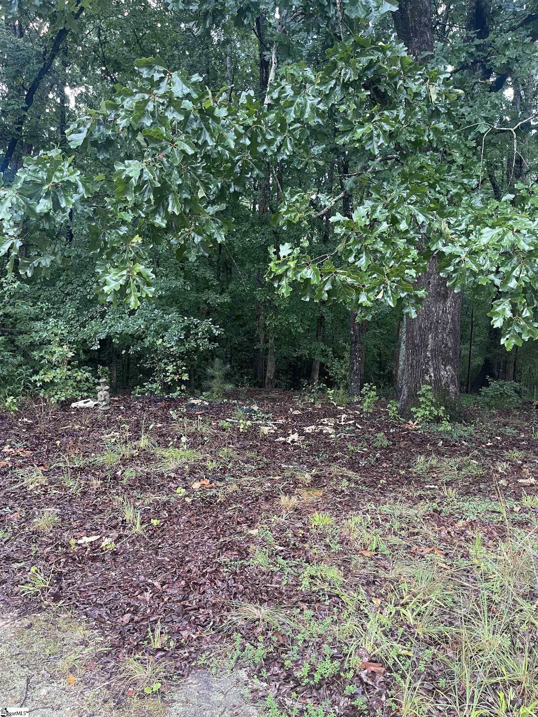 513 State Rd S-30-846 Laurens, SC 29360 - Photo 1 of 4