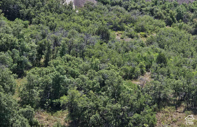 2 Archie's Hideaway, Unit 2 Fairview, UT 84629 - Photo 4 of 12