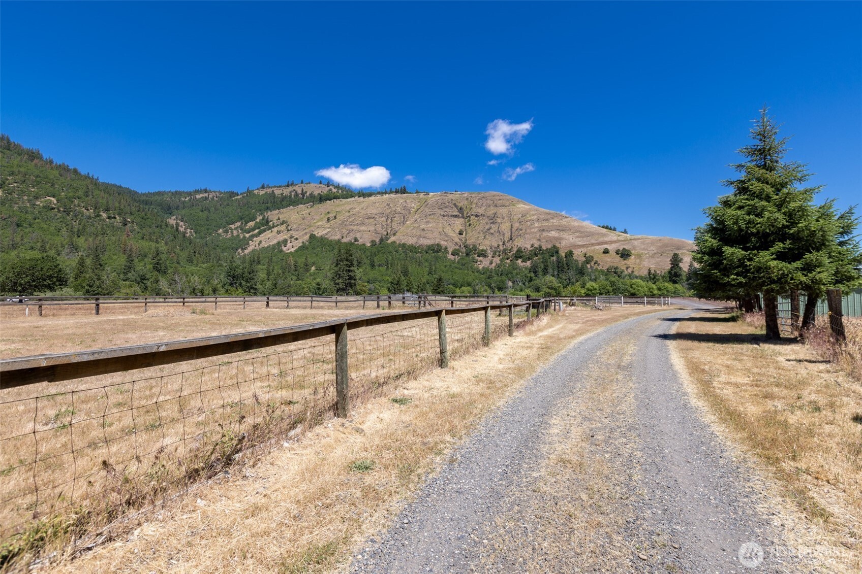 992 Highway 142 Lyle, WA 98635 - Photo 21 of 40 a view of balcony with two trees
