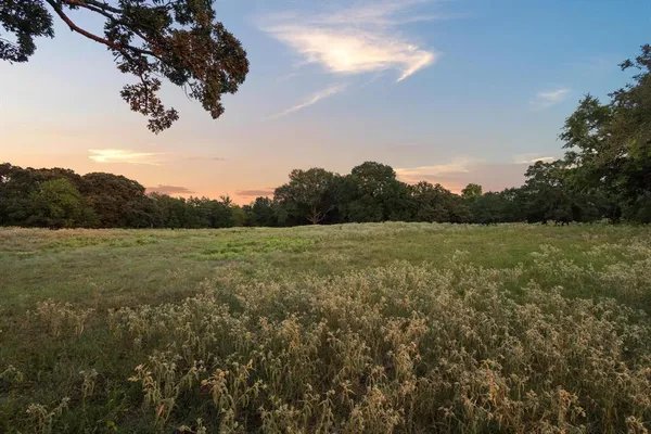 a view of a field with an ocean view