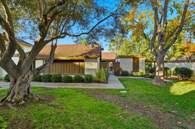 a view of backyard with large trees