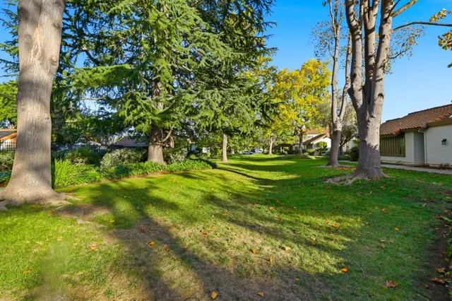 a view of yard with swimming pool and green space