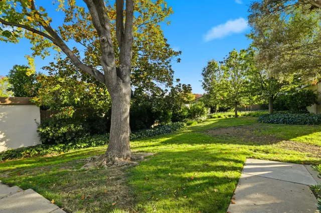a view of a swimming pool with a yard