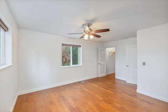 a view of a lake in middle of forest