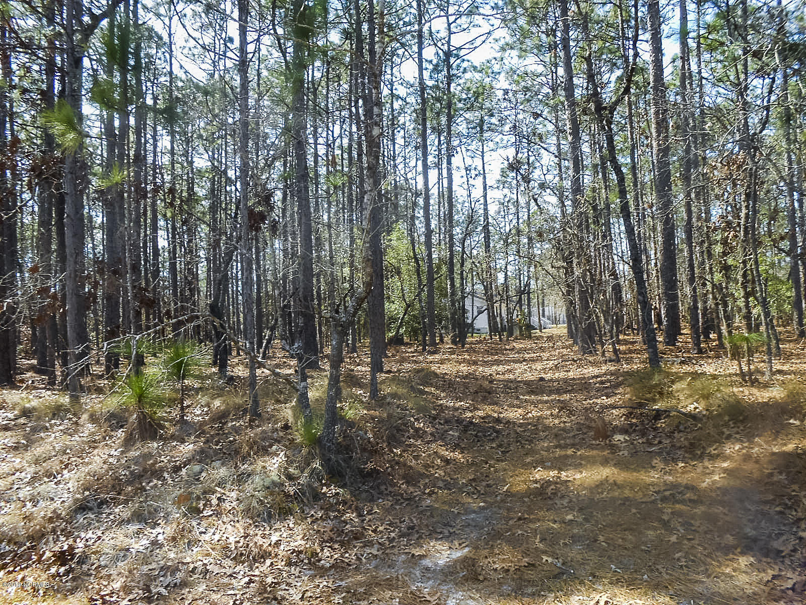 15 Raeford Road Southport, NC 28461 - Photo 1 of 1 DSCN9672