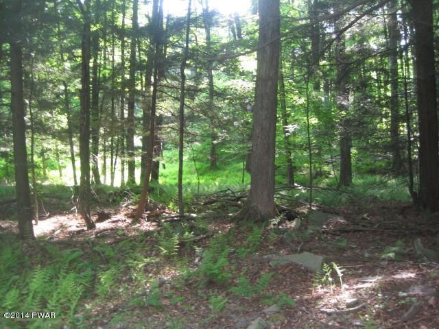 51 Sterling Shrs Road Lake Ariel, PA 18436 - Photo 2 of 8