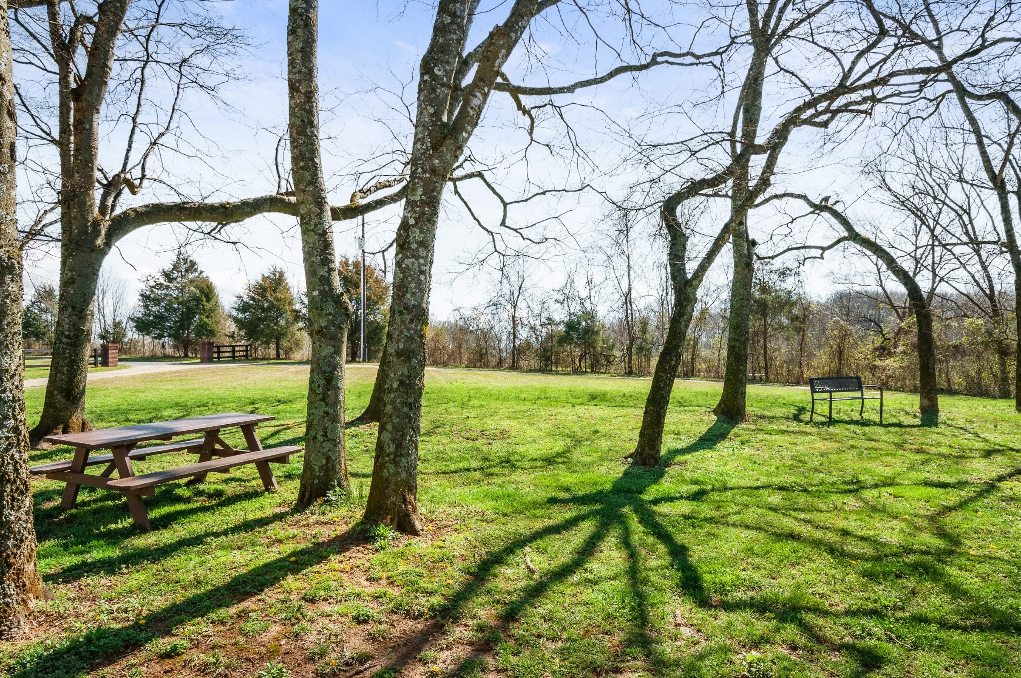 5319 Murfreesboro Road College Grove, TN 37046 - Photo 3 of 42 Gallery Image 3