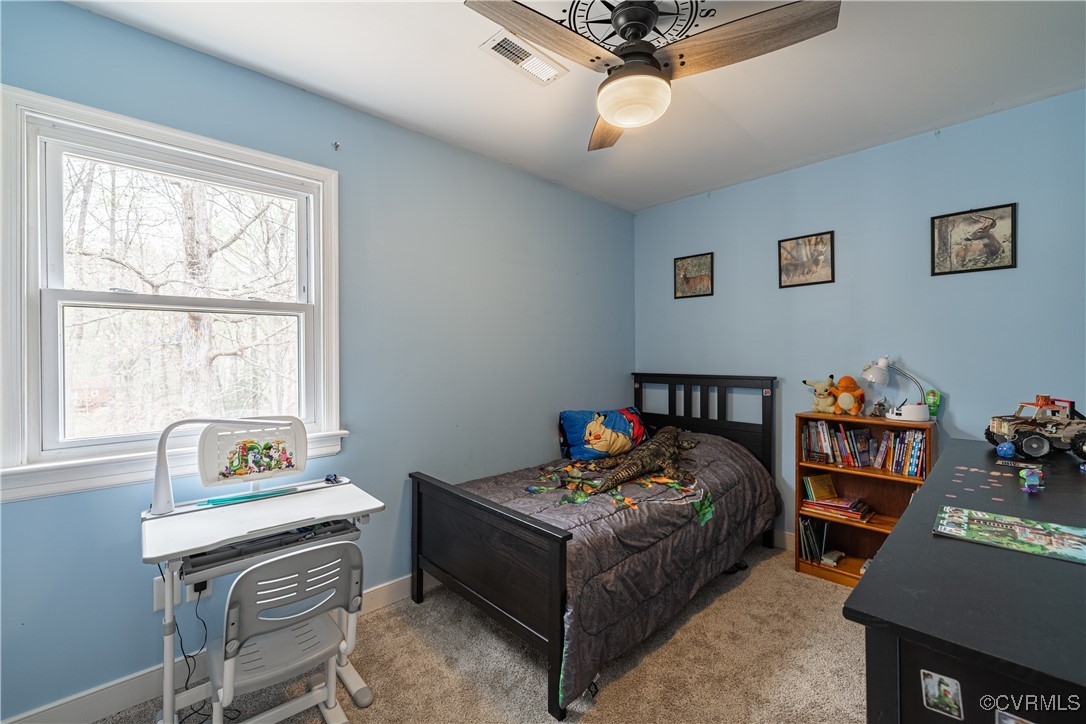 2118 Chestnut Oaks Road Powhatan, VA 23139 - Photo 31 of 41 Carpeting & Ceiling Fan