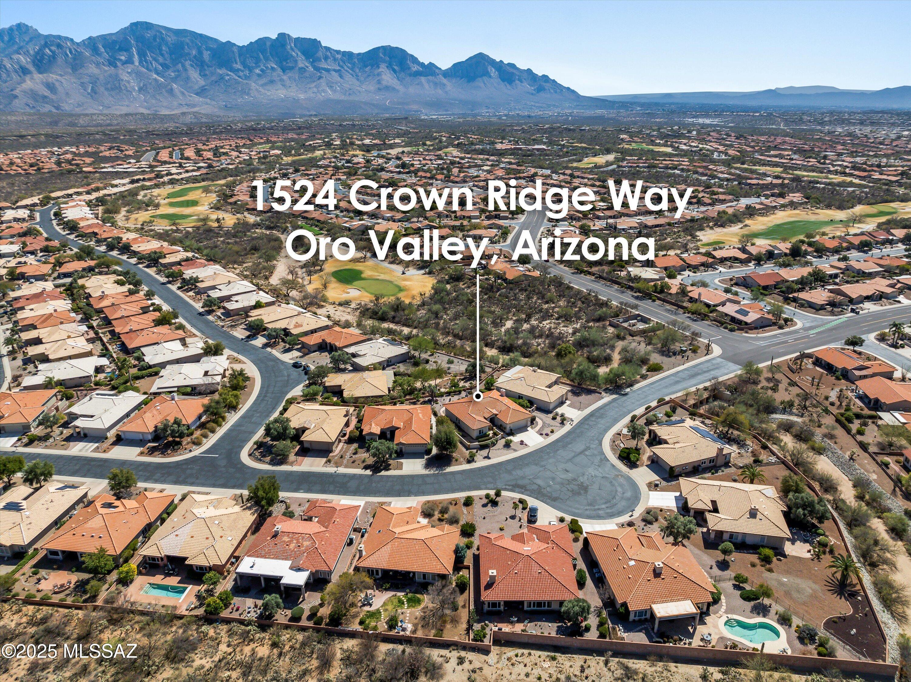 1524 East Crown Ridge Way Oro Valley, AZ 85755 - Photo 36 of 44