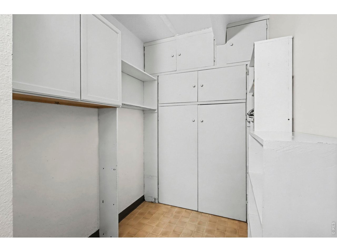 415 South Howes Street, Unit 807 Fort Collins, CO 80521 - Photo 10 of 31 Large pantry with storage