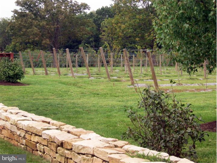 2091 South Sugan Road New Hope, PA 18938 - Photo 21 of 25