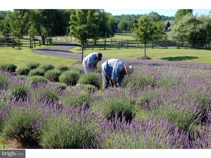 2091 South Sugan Road New Hope, PA 18938 - Photo 22 of 25