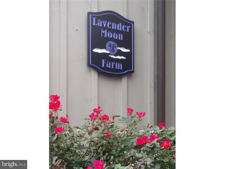 2091 South Sugan Road New Hope, PA 18938 - Photo 25 of 25