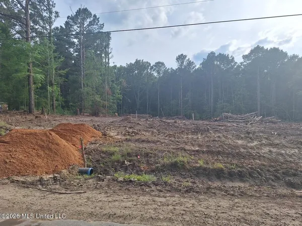 $35,900 | 709 Old Pinola Braxton Road, Braxton, MS 39044