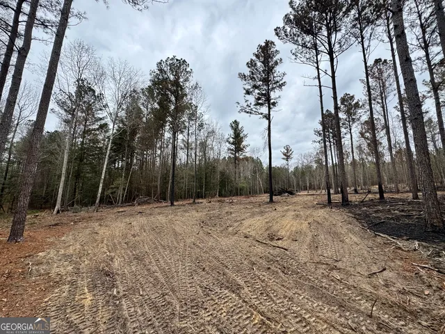 $46,735 | 0 Bastonville Road, Gibson, GA 30810