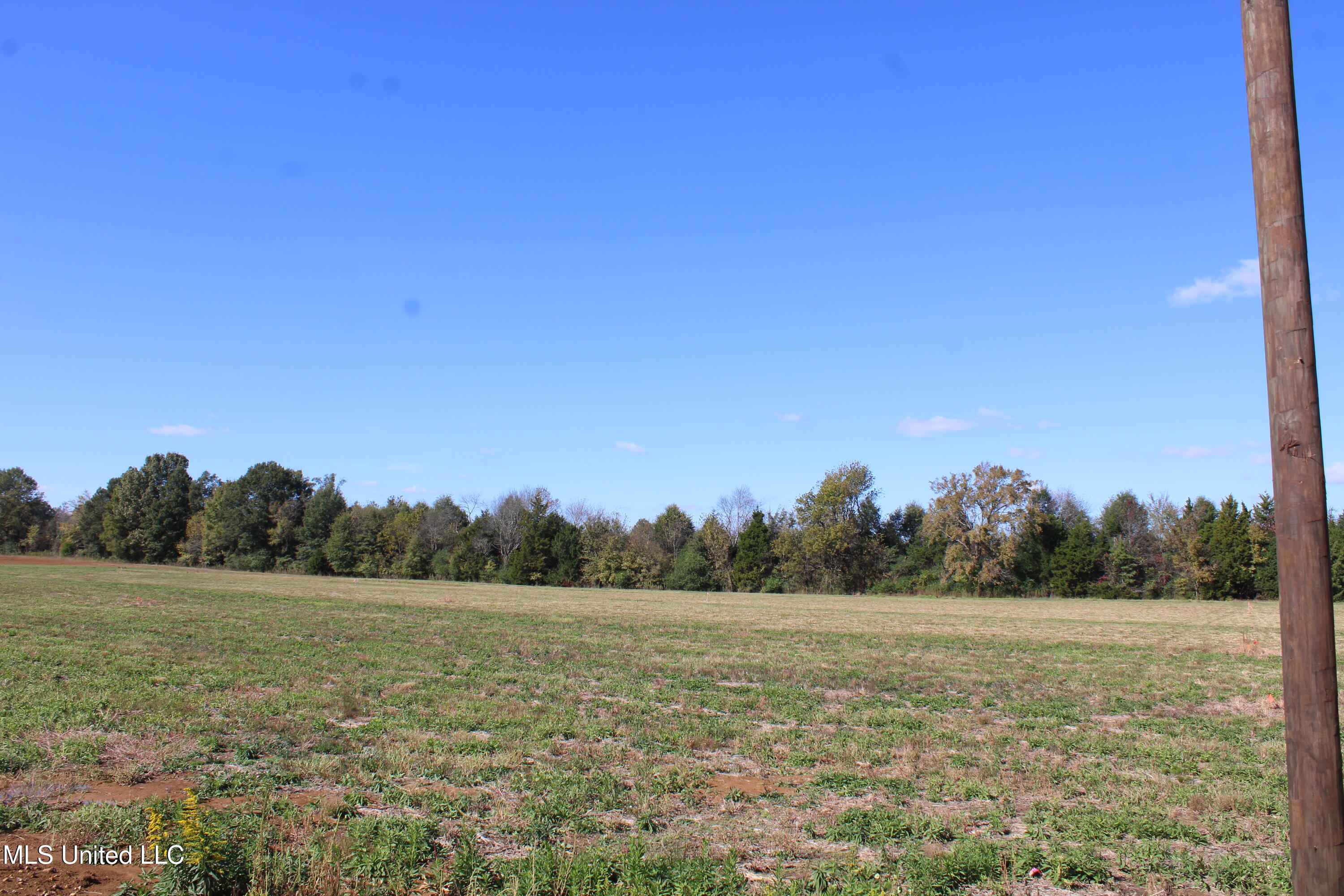 43 Pin Oak Road Michigan City, MS 38647 - Photo 20 of 22 IMG_6916