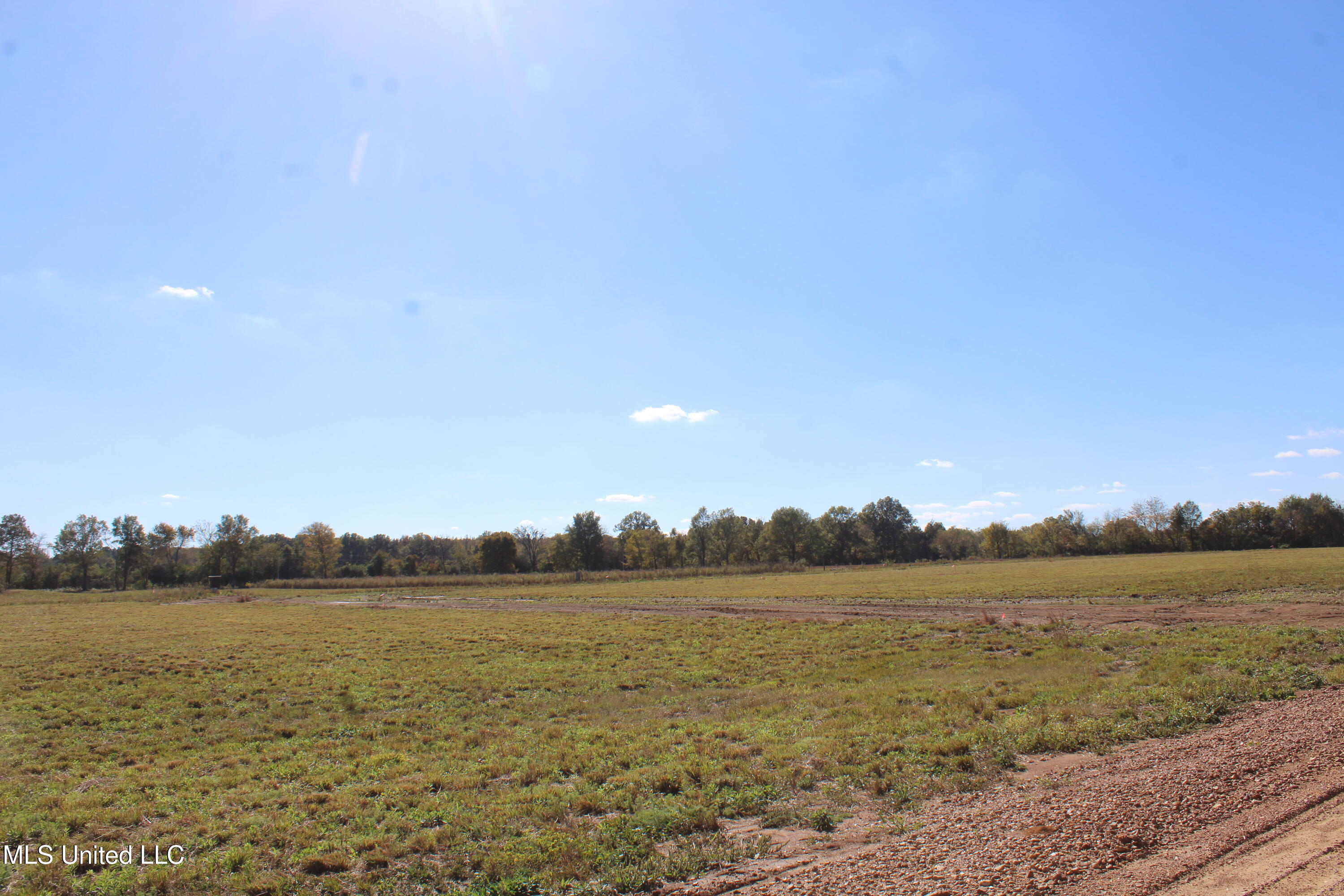 43 Pin Oak Road Michigan City, MS 38647 - Photo 7 of 22 IMG_6903