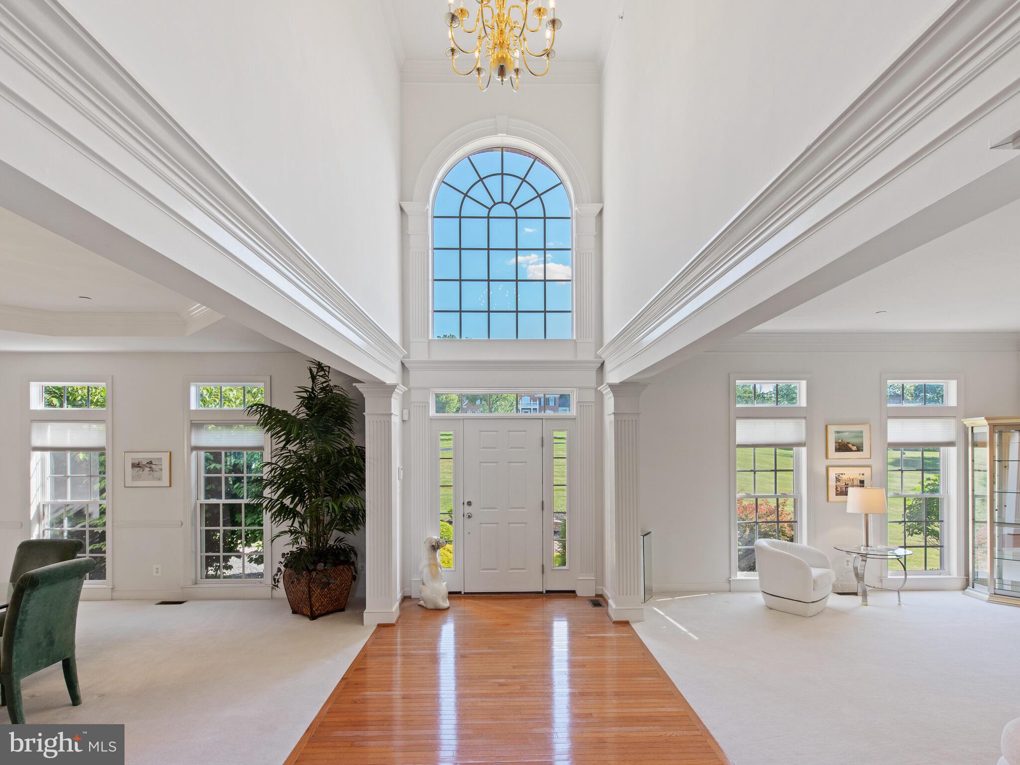 19 Schofield Road Phoenixville, PA 19460 - Photo 12 of 77 Dramatic foyer