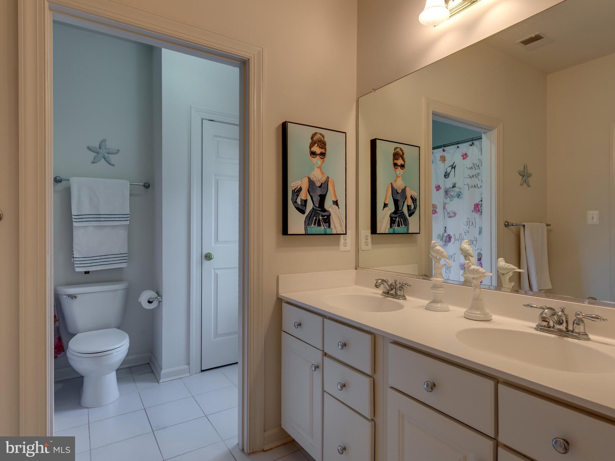 19 Schofield Road Phoenixville, PA 19460 - Photo 51 of 77 Jack & jill bathroom for Bedrooms 4 & 5