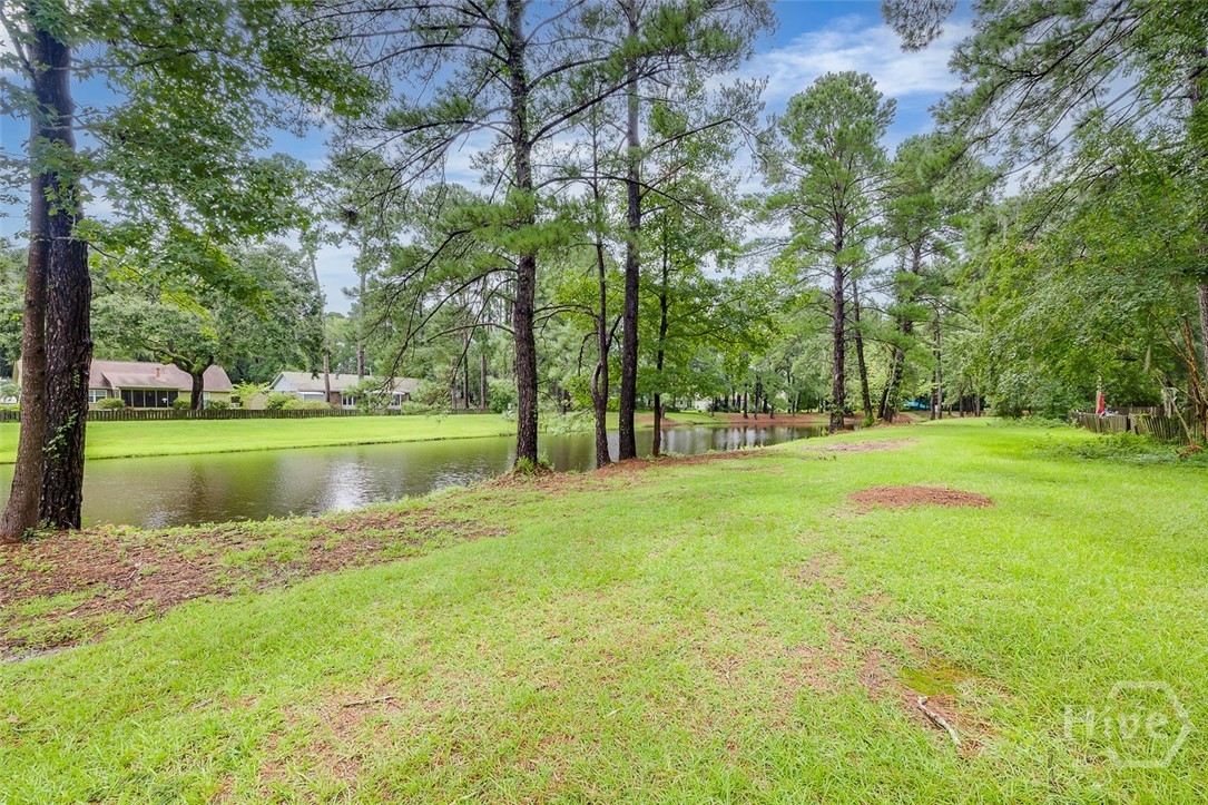 12 Bitterroot Lane Savannah, GA 31419 - Photo 34 of 35