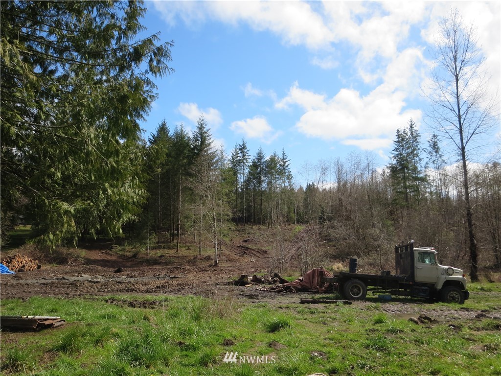 250 Logan Hill Road Chehalis, WA 98532 - Photo 18 of 25 a view of outdoor space and yard