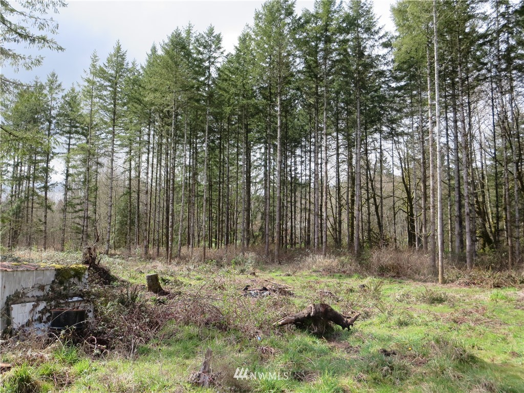250 Logan Hill Road Chehalis, WA 98532 - Photo 21 of 25 a view of outdoor space and yard