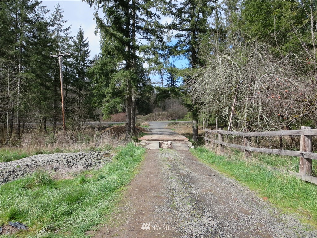 250 Logan Hill Road Chehalis, WA 98532 - Photo 22 of 25 a view of a yard with plants and a large tree