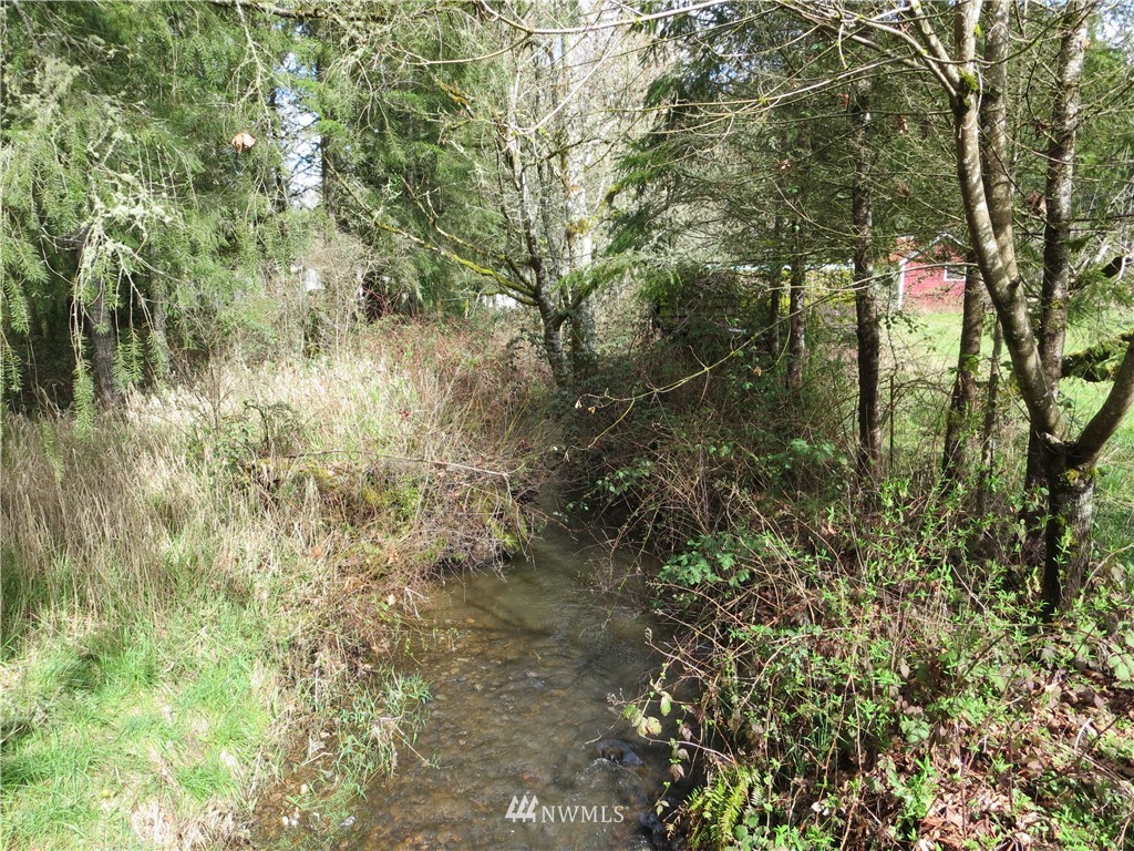 250 Logan Hill Road Chehalis, WA 98532 - Photo 23 of 25 a view of a yard with a tree